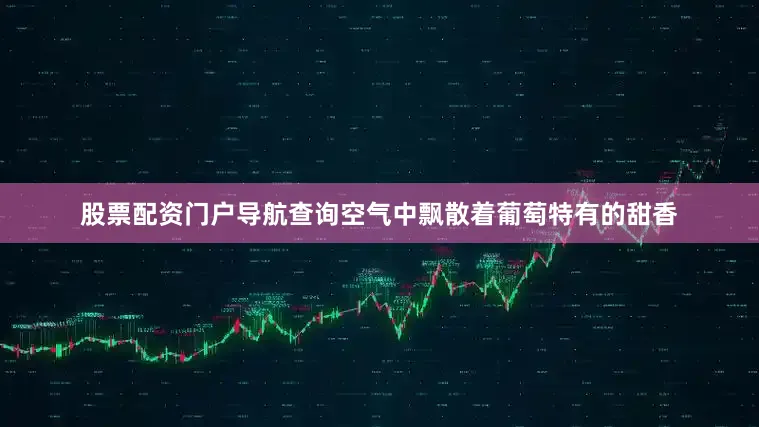 股票配资门户导航查询空气中飘散着葡萄特有的甜香