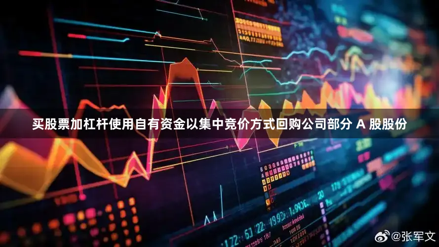 买股票加杠杆使用自有资金以集中竞价方式回购公司部分 A 股股份
