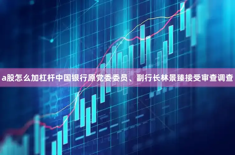 a股怎么加杠杆中国银行原党委委员、副行长林景臻接受审查调查
