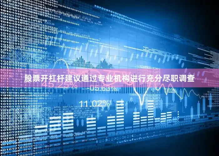 股票开杠杆建议通过专业机构进行充分尽职调查