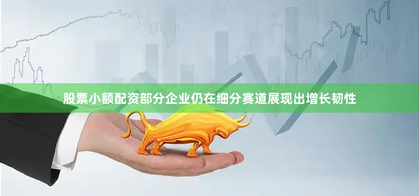 股票小额配资部分企业仍在细分赛道展现出增长韧性
